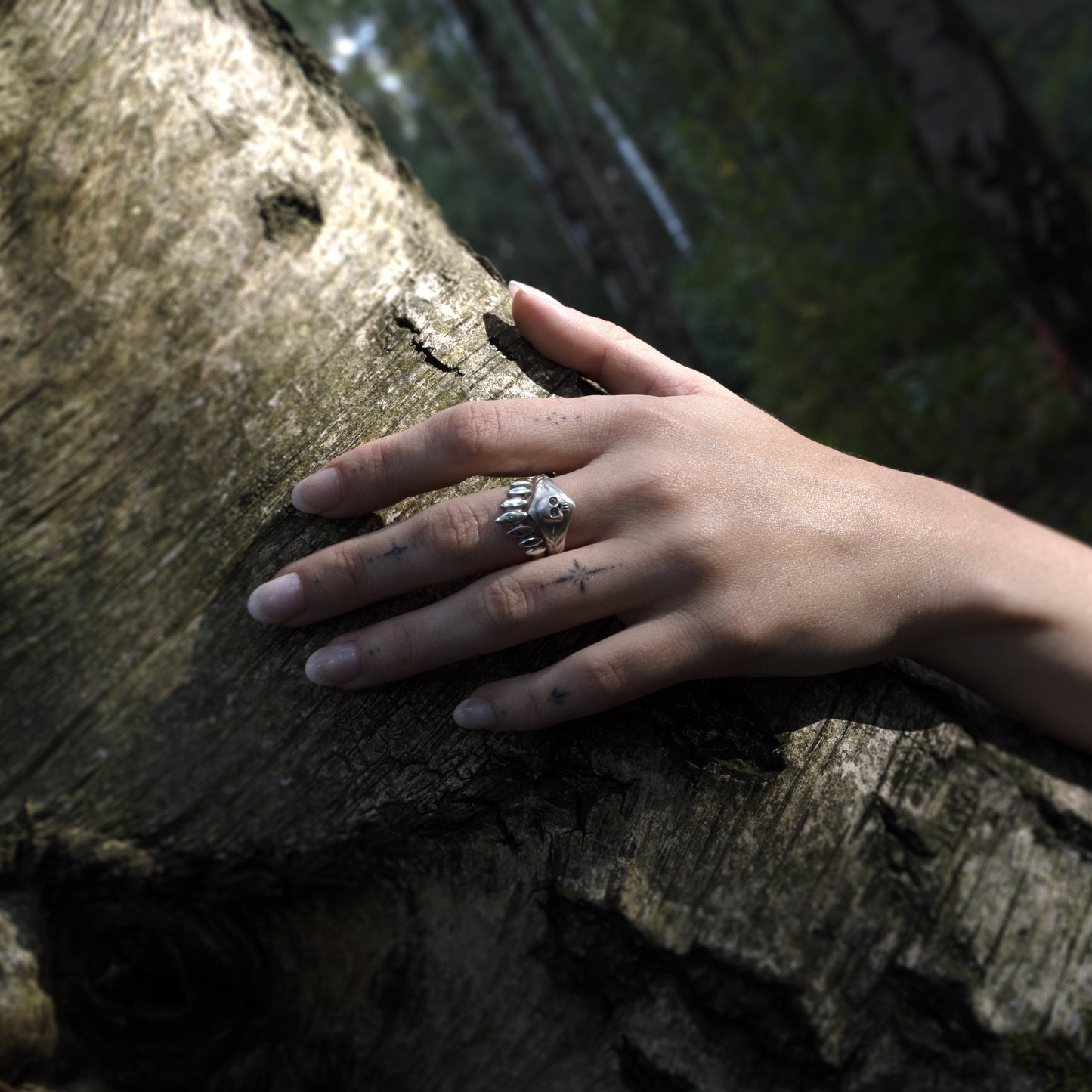 Wild Crown